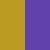 Gold/Purple  +